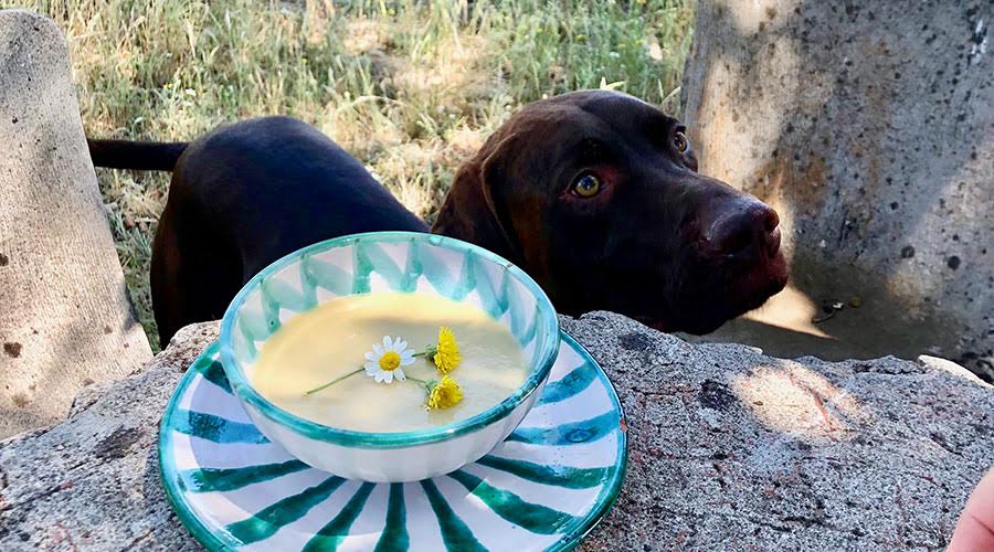 Crema de Cardo